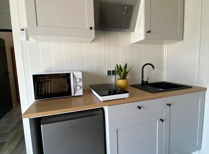 Sloneczny Horyzont 別荘 Zastan